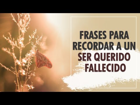 Persina fayesida: descubre su significado y vive su esencia