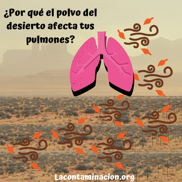 Polvo daña tus pulmones: descubre el atrapa sueños -