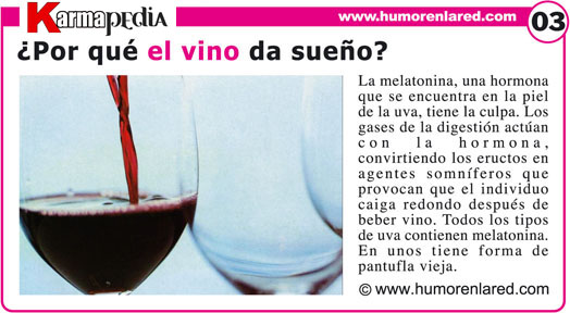 ¿Por qué el vino me da sueño? Descubre la razón aquí