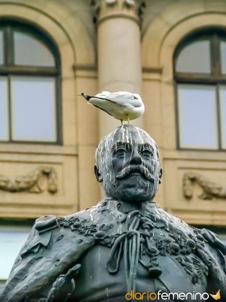 ¿Qué significa soñar con aves que te hacen caer su excremento?