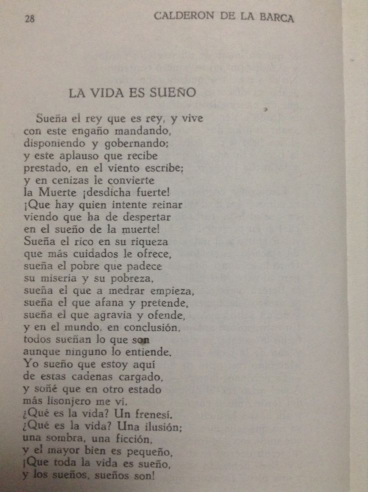 Reflexiones sobre La Vida es Sueño: Textos más comunes