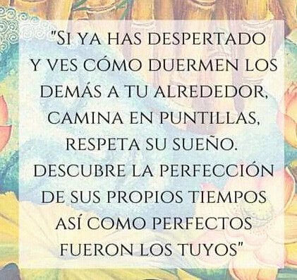 Respeta el sueño ajeno: ¡beneficia tu salud y relaciones!