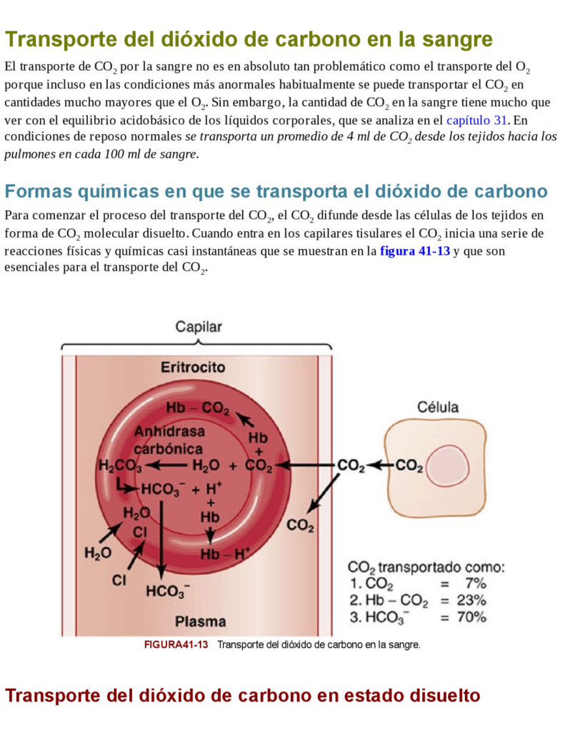 Respiración y sueño: cómo el CO2 afecta nuestra respuesta ventilatoria