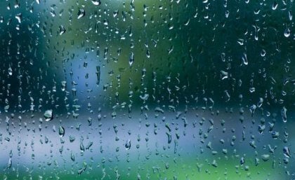 Revive tus sentidos con el sonido del agua de lluvia en la calle