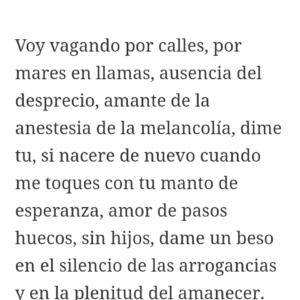 Revuelta de felicidad: olores y versos en mi sueño cómodo