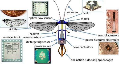 Robots y abejas eléctricas: Reseña de una historia cautivadora