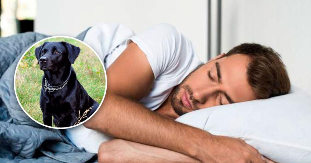 Significado de soñar con perro negro abrazándote: descubre su mensaje
