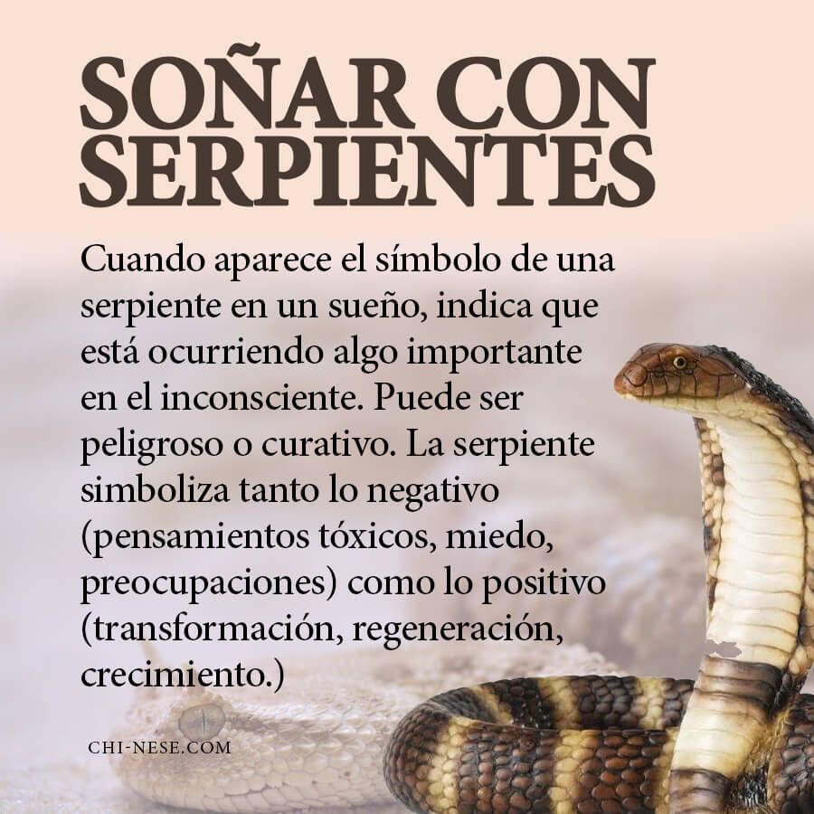 Significado de soñar con ser perseguido por una serpiente