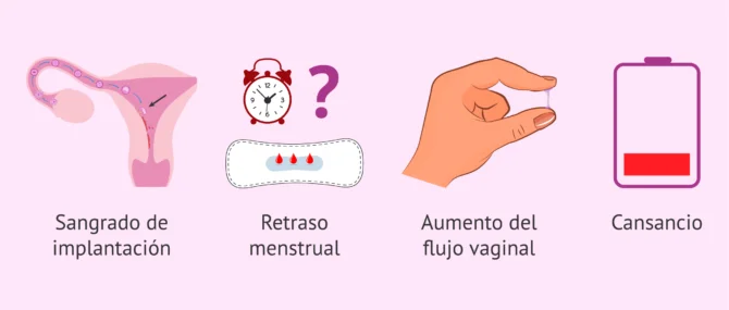 Sin menstruación y cansancio extremo: ¿Qué está pasando?