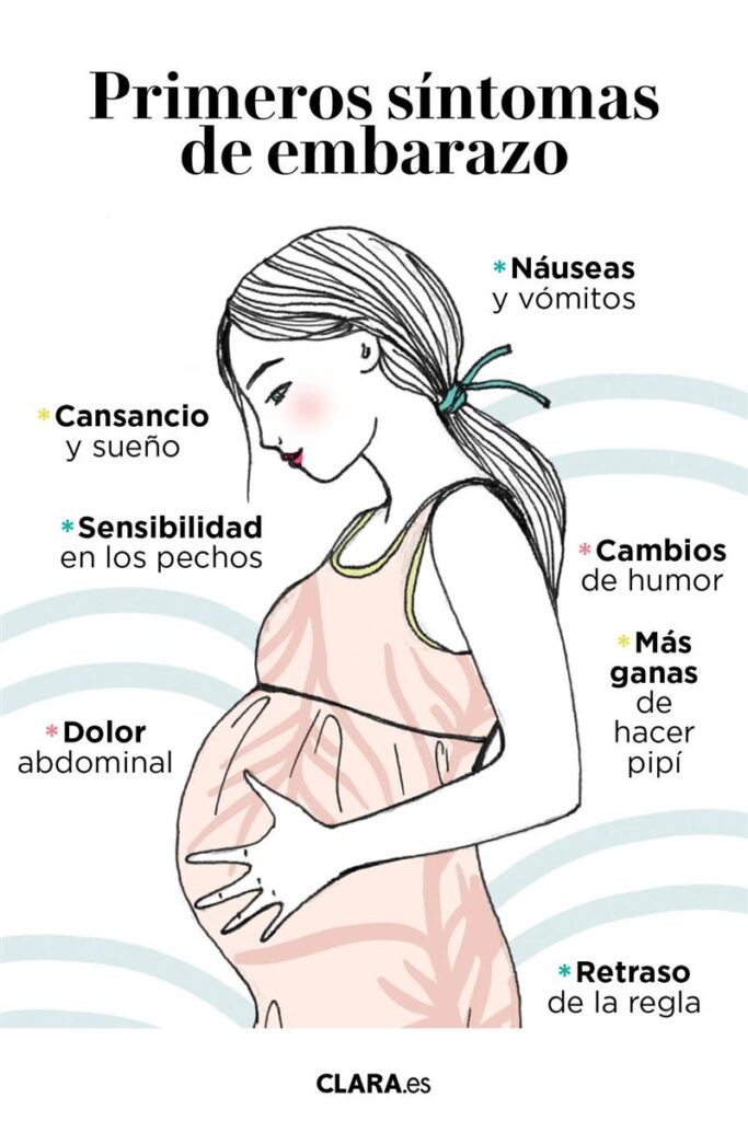 Síntomas de embarazo: hinchazón, dolor y sueño en el bajo vientre