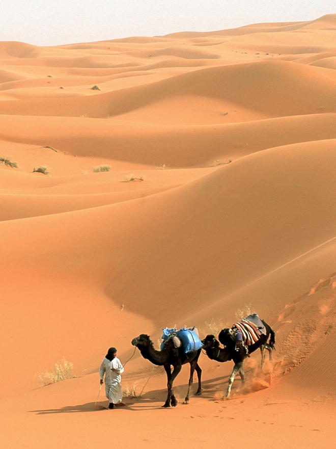 Sueña con la ciudad: escapa del desierto en tu mente