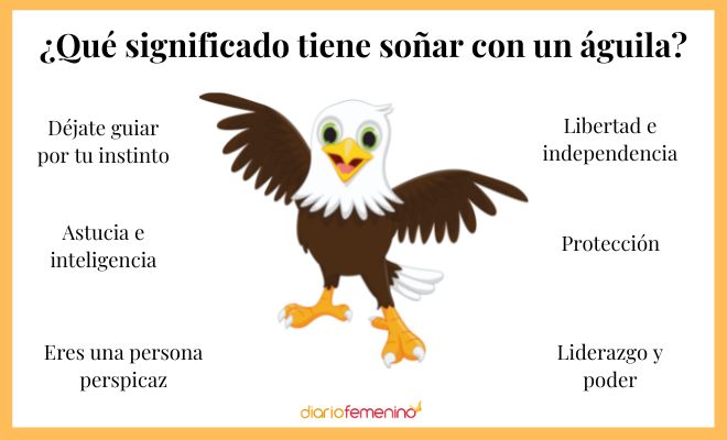 Sueñas con un águila en tu cabeza: descubre su significado