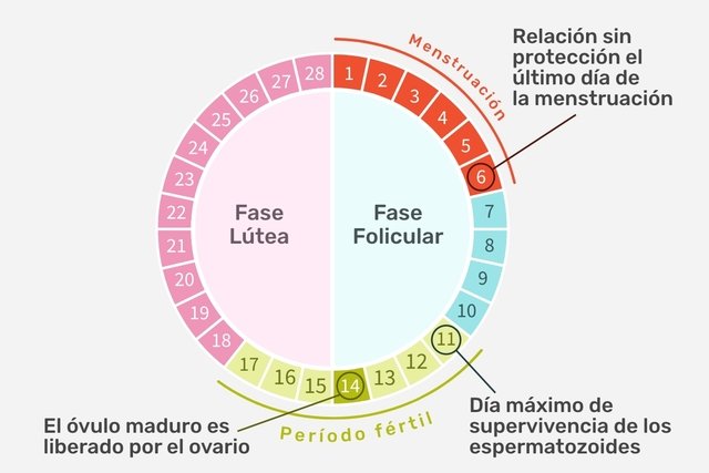 Sueño con embarazo durante la menstruación: ¿es posible?