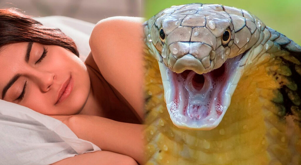 Sueño con serpiente blanca y amarilla: ¿buena o mala señal?