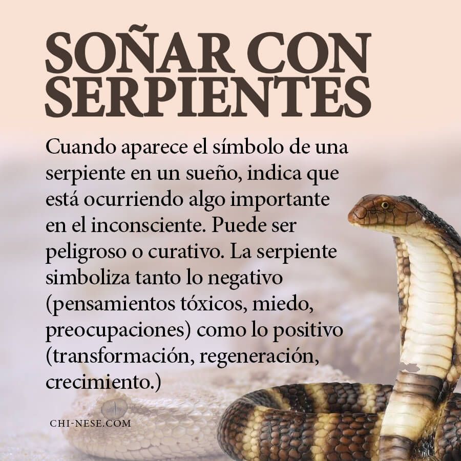 Sueño con serpiente inofensiva: significado y simbolismo