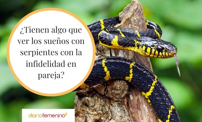 Sueño con serpiente y ex pareja: ¿Qué significa?