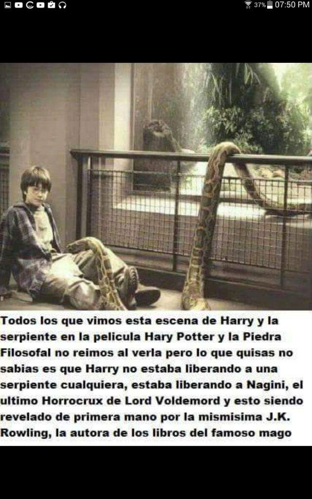 Sueño de la serpiente en Harry Potter: el peligro acecha a Wesley