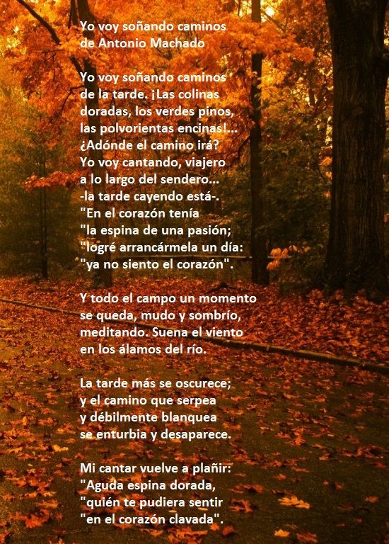 Sueño de un bendito: la poesía de Antonio Machado en el otoño soriano