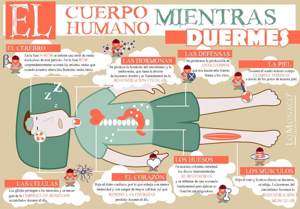 Sueño inquietante: un esquema cubre mi cuerpo