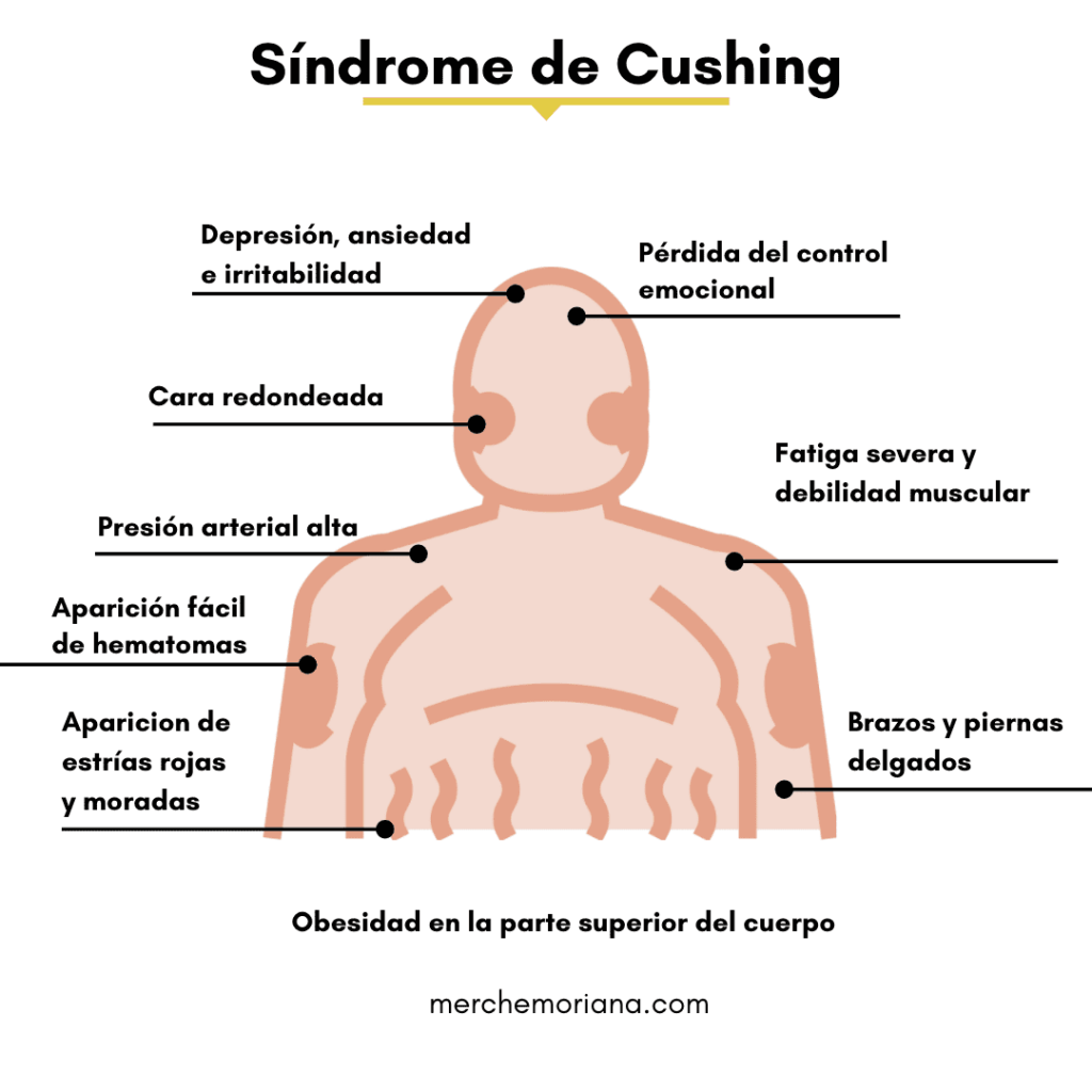 Sueño y estrés: cómo afecta el cortisol en tu cuerpo