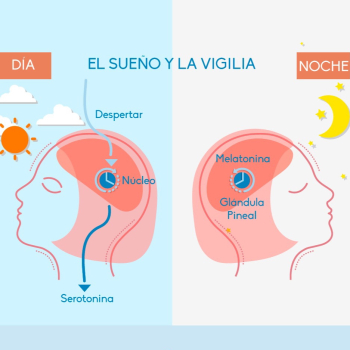 Sueño y vigilia: ejemplos reales para entenderlos mejor