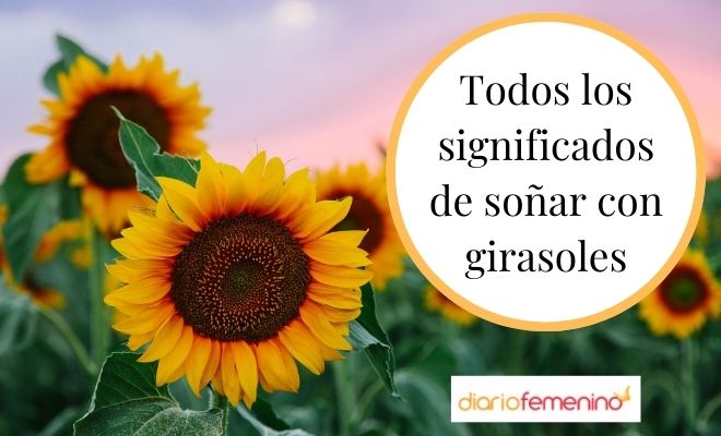 Sueños con la chica de girasoles: descubre su significado