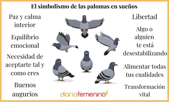 Sueños con paloma blanca: significado y simbolismo