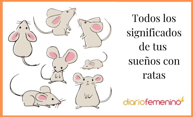 Sueños con parientes y ratas: ¿qué significado ocultan?