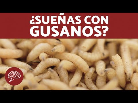 Sueños inquietantes: gusanos blancos en los pies