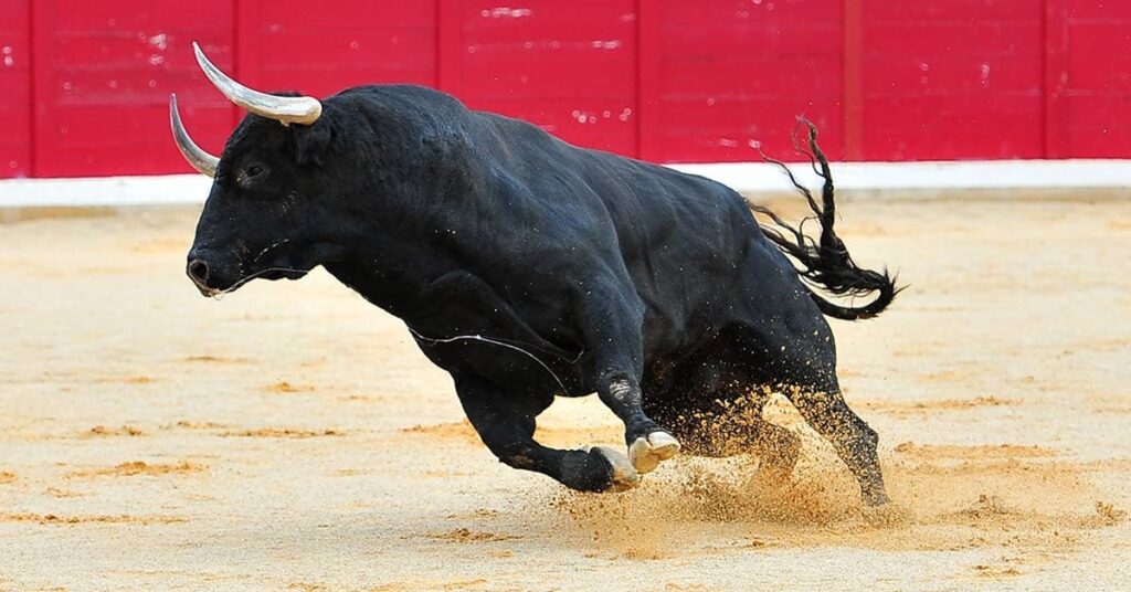 Sueños intensos: Correteando con un toro de cuernos