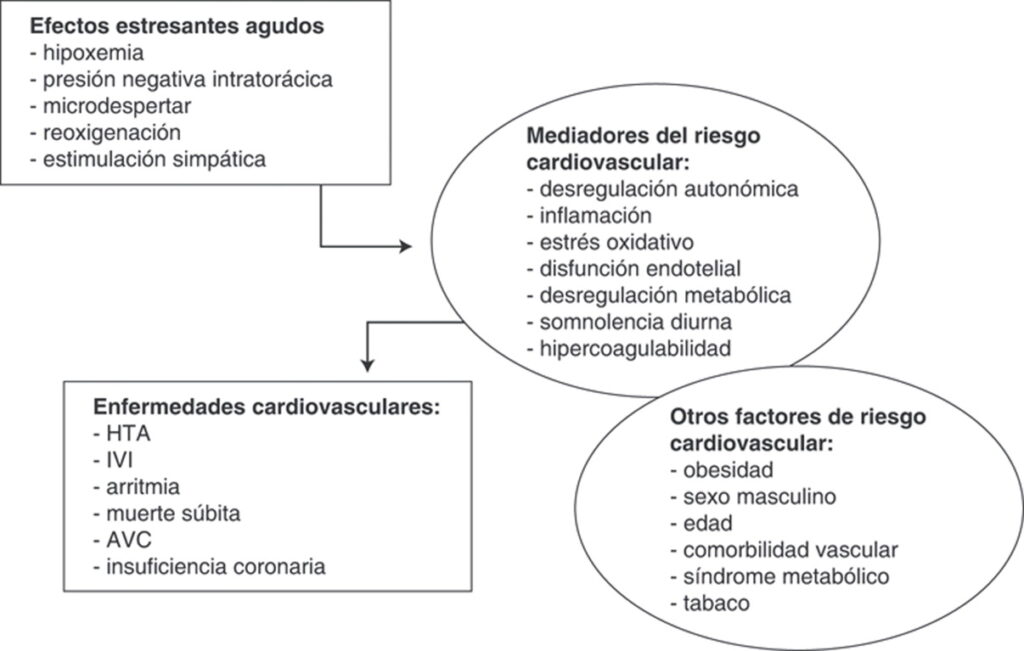 Tiroides: ¿insomnio nocturno y somnolencia diurna? Descubre por qué