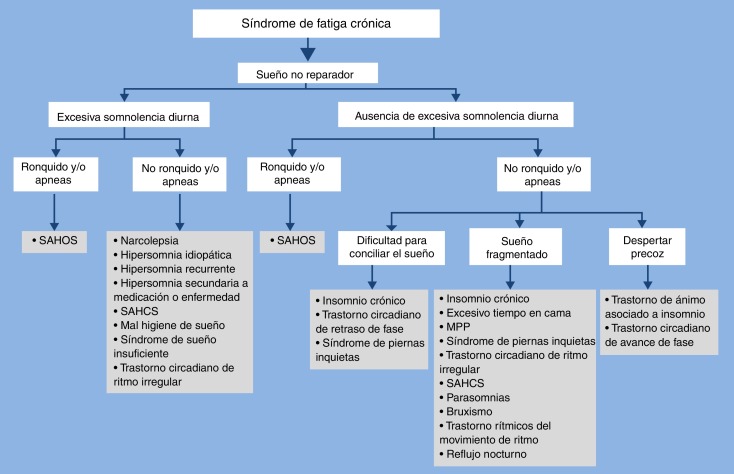 Trastornos del sueño: descubre cómo identificarlos en un esquema