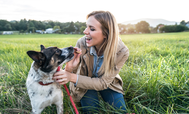 ¿Tu perro se perdió en tus sueños? Descubre su significado