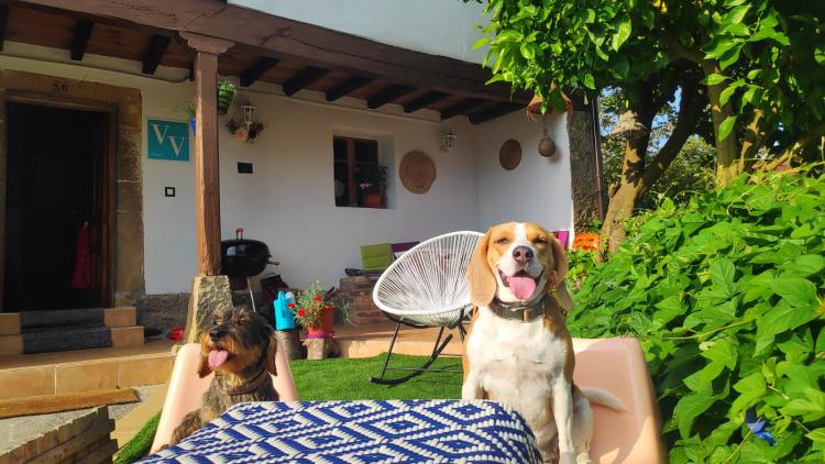 Vive el sueño del viajero en Casa Rural Asturias, Cangas de Onís