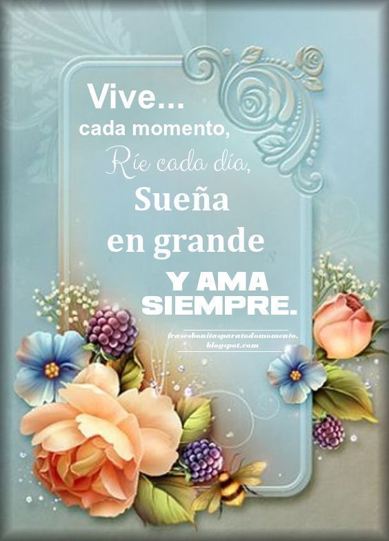 Vive y sueña la vida: ¡Suenan tus momentos!