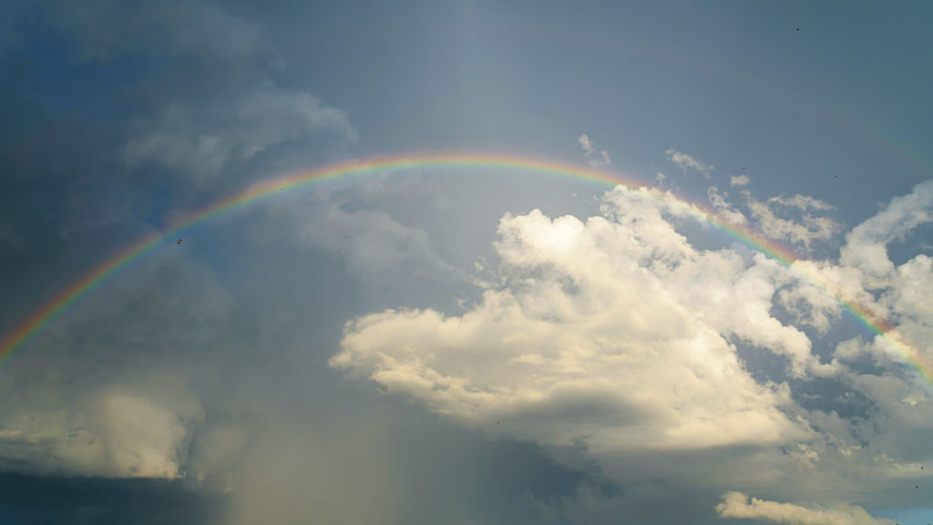 Vuela alto sobre el arcoiris con nuestro sueño hecho realidad